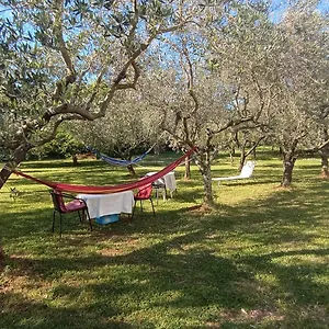 Gabriela , Poreč Chorvatsko